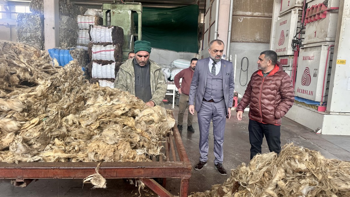 Yünler Ekonomiye Kazandırılıyor