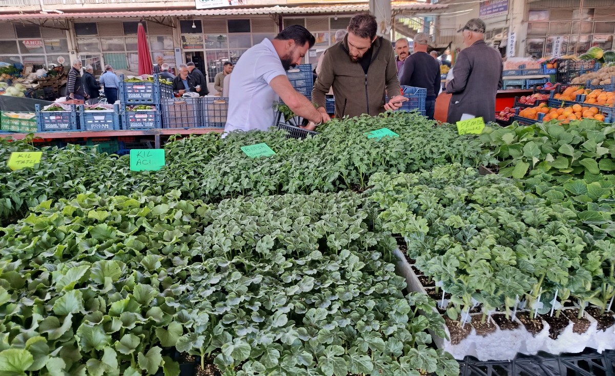 Pazardaki Fiyatlar Artınca Vatandaş Fideliğe Koştu